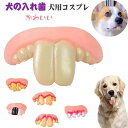 【送料無料】ハロウィン 犬用コスプレ 犬の入れ歯 面白いウサギの前歯 6type選べる 歯のおもちゃ犬用入れ歯 仮装変身グッズシリコン 入れ歯 出っ歯ハロウィン...