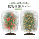 【送料無料】防虫ネット 2枚入り 園芸ネット 防鳥ネット ファスナー付き 巾着式 植物保護 野菜栽培 鳥よけ ネット 菜園 プランター 花壇 防虫カバー 60*...