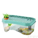【送料無料】カメ用水槽 大きい カメ 水槽 亀の水槽 40CM 60CM 73CM亀 飼育ケース ボックス タートルタンク 日向ぼっこ台 ミドリガメ クサガメ ...