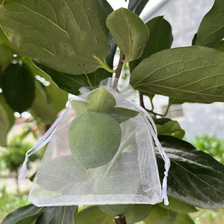 【送料無料】通気性 果実袋 50枚入り 果物保護 メッシュ 鳥よけ ぶどう用 防虫 ネ...