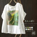 【送料無料】tシャツ レディース 半袖 ダブルガーゼ コットン 綿 柄 プリント tシャツ 半袖 クルーネック プルオーバー 大人可愛い