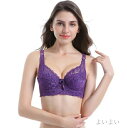 【送料無料】ブラジャー 鋼輪がある 下着 レース レディース