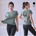 【送料無料】半袖 かわいい 女性 レディース きれい トレーニング ストレッチ 着圧 伸縮性 T-shirt ピラティス 吸水速乾 無地 フィットネス