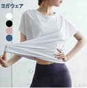 【送料無料】半袖 かわいい 女性 レディース きれい yoga トレーニング ストレッチ 着圧 伸縮性 T-shirt ピラティス 吸水速乾 接触冷感 無地