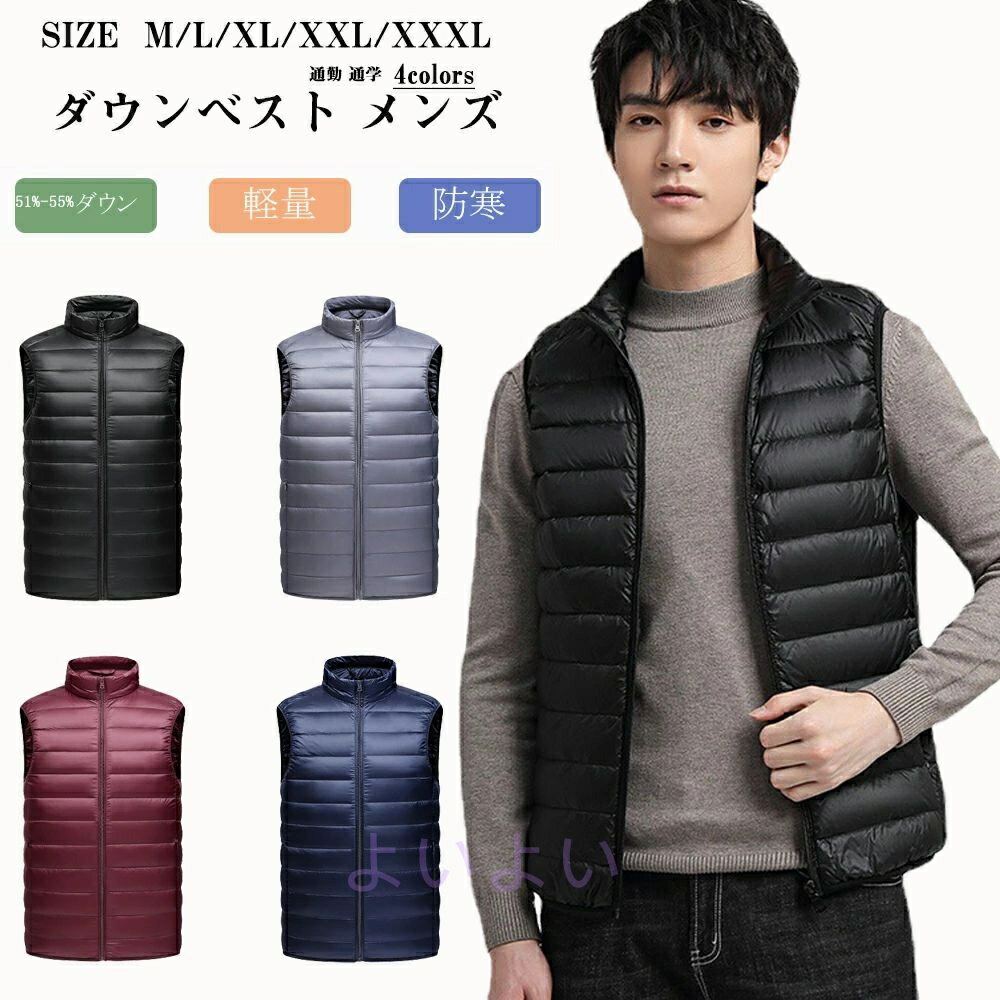 ٥ » 󥺥٥롼 ٥  󥳡 㥱å ȥ饤ȥ  ɴ   ʡ »  ̶ ...