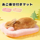 【送料無料】うさぎ ベッド うさぎ マット 小動物 ペット用 あご乗せ 枕 ふわふわ ウサギ クッション ペットベッド モルモット ハムスター チンチラ うさちゃん 子犬 清潔 便利 座布団 もこもこ かわいい 洗える 寝床