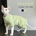 【送料無料】スフィンクス猫 キャットウエア ストライプ 猫服 長袖 柔らかい 肌着 春夏秋 ペットウエア おしゃれ セーター パーカー コニス無毛の猫 着脱簡単...