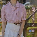 【送料無料】シャツブラウス レディース 半袖 ストライプ 春 夏 きれいめ アシンメトリー シャツ ブラウス トップス レディースシャツ カジュアル ナチュラル...