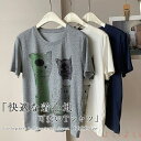 【送料無料】クルーネック tシャツ レディース 半袖 夏 ストレッチ Tシャツ 半袖tシャツ カットソー プルオーバー トップス カットソー 大人 半袖Tシャツ 着回し 通勤 通学