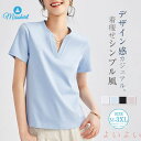 【送料無料】Tシャツ Vネック レディース 綿 tシャツ 半袖 無地 新作 シャツ トップス カラーTシャツ プルオーバー 春 夏 大きいサイズ 体型カバー カ...