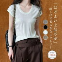 【送料無料】tシャツ レディース フレンチスリーブ 夏 サマーニット 薄手 ストレッチ uネック tシャツ カットソー 無地 プルオーバー 半袖 トップス ニッ...
