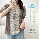 【送料無料】シャツ ブラウス ストライプ レース レディース 綿 コットン 新作 花柄 半袖 刺繍 ラウンドネック トップス プリント デザイン感 前開き ボタ...