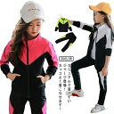 【送料無料】キッズ 運動着 お出かけ 秋着 パーカ セットアップ スポーツウェア 子供服 綿 秋着 長袖 春秋 可愛い 女の子 上下 長ズボン