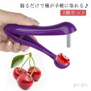 【送料無料】種取り 種取り器 ジャム 便利グッズ さくらんぼの種取り 握るだけ サクランボ 種とり チェリー 離乳食作り 器 ジャムづくり