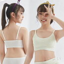 送料無料 ジュニアブラ スポーツブラ ブラジャー ファーストブラ ハーフトップ ブラトップ ジュニア 小学生 子供 キッズ インナー 爽やか 涼しい 吸汗速乾 ...
