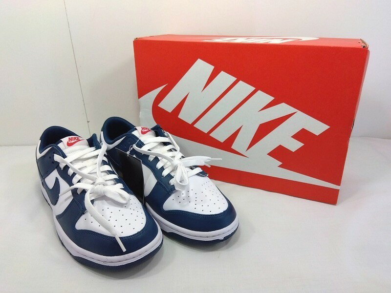 26g-485kNIKE ナイキ DUNK LOW TETRO ダンク ロー レトロ スニーカー DD1391-400 28.0cm