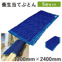 当てぶとん1200mm×2400mm5枚引越し養生材 床養生材 あてぶとん 引越し 家具 毛布 ふとん 布団 大型家具運搬 フローリング 傷防止