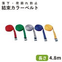 カラーベルト 1本 厚み1.6mm×幅25mm×長さ4.8m 積み荷・荷崩れ防止結束用!引越し業者様・配送業者様・物流業者様必見!大型荷物の運搬・配送の持ち運びに