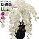 アートフラワー 胡蝶蘭 LLサイズ梱包450×640×1080mm重量15〜20kg鉢直径40cm(14号)5本立て 消臭建材光触媒とアミノ酸でホルムアルデヒド...