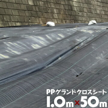 𥷡 PPɥ1m50mɻ 