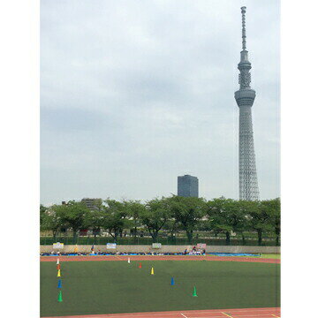 ���ѥ����� 700mm�� �� �� �� �� ����ե륳����20��