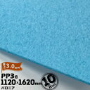 三井化学東セロ パロニア PP3倍 発泡シート厚さ3mm1120mm×1620mmアオ10枚【コロナ処理なし】