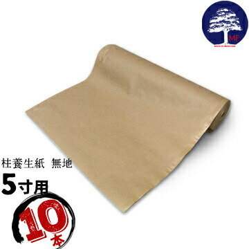 乐天商城 - エムエフ MF 柱養生紙 5寸用無地10本650mm×45m養生材 柱の保護に 建築建設時の柱養生カバー