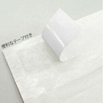 川上産業 あんしん封筒シリーズ セフティパックセフティ-2【A4サイズ】内寸：325×272mm200枚