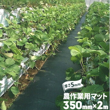 �������� ������ѥޥåȸ��� 5mm350mm��2000mm��ƻ�ޥå� ����ɻ� �̤���� ������ϩ ��ƻ����ޥå�