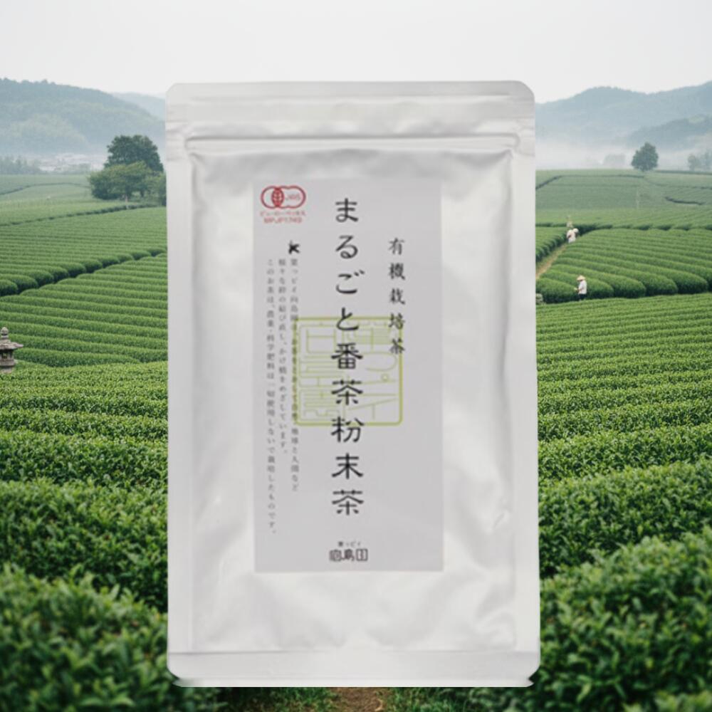まるごと番茶粉末茶 向島園 お茶 送料無料 お茶 緑茶 煎茶 茶 茶葉 お茶葉 静岡 国産 深蒸し 深むし 健康 健康茶 色 香り うがい ウイルス対策 甘い 美味しい おいしい お徳 お得 カテキン リーフ ギフト 水出し メール便 りょくちゃ 香り