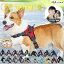 プロ監修 【楽天6冠】 犬 ハーネス 小型犬 中型犬 大型犬 おしゃれ かわいい 脱げない 柴犬 ロック 胴輪 介護 ハンドル ペット 散歩 補助 送料無料 LaLUCA はーねす 首輪 子犬 超小型犬 成犬用 愛犬 リード 老犬 いぬ イヌ ワンチャン