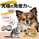 【獣医師共同開発】 犬 サプリ 免疫 免疫力 冬虫夏草 健康 老犬 老猫 猫 犬用 猫用 シニア いぬ ねこ イヌ ネコ ペット 国産 日本産 高齢 高齢犬 病...