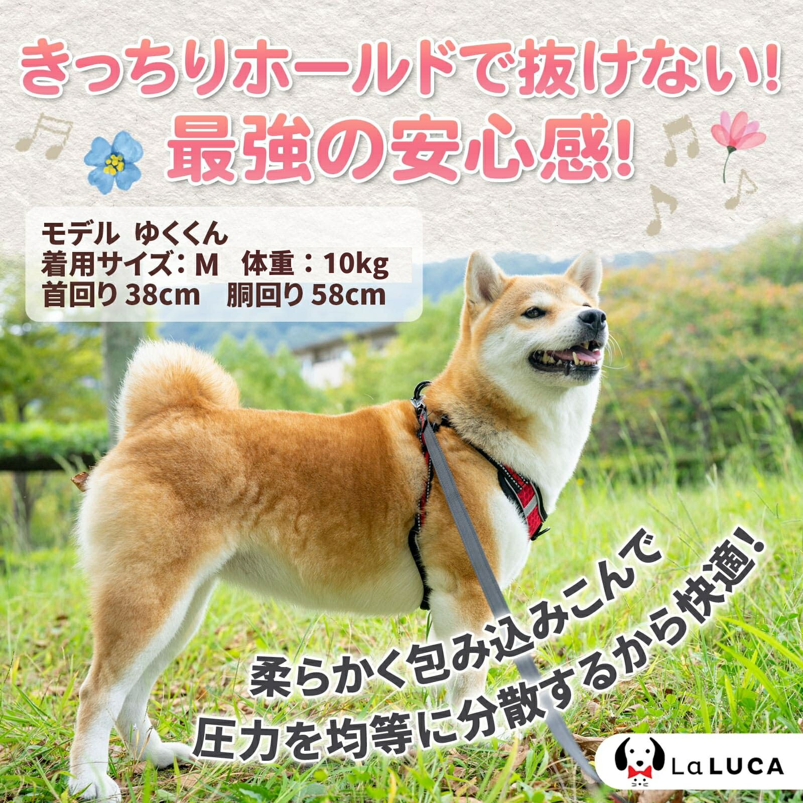 ハーネス リード 抜けにくい 小型犬 中型犬 大型犬 LaLUCA ハーネスリードセット スタンダード 抜けない 犬用 首輪 胴輪 散歩