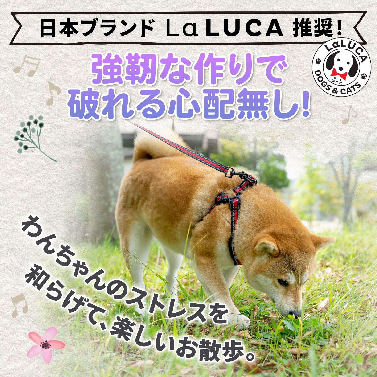 王道 抜けないスタンダードハーネス リード ハーネス 小型犬 中型犬 大型犬 数量は多 LaLUCA 抜けない 犬用 首輪 胴輪 散歩 スタンダード ハーネスリードセット 王道 抜けないスタンダードハーネス リード ハーネス 小型犬 中型犬 大型犬 数量は多 LaLUCA 抜けない 犬用 首輪 胴輪 散歩 スタンダード ハーネスリードセット