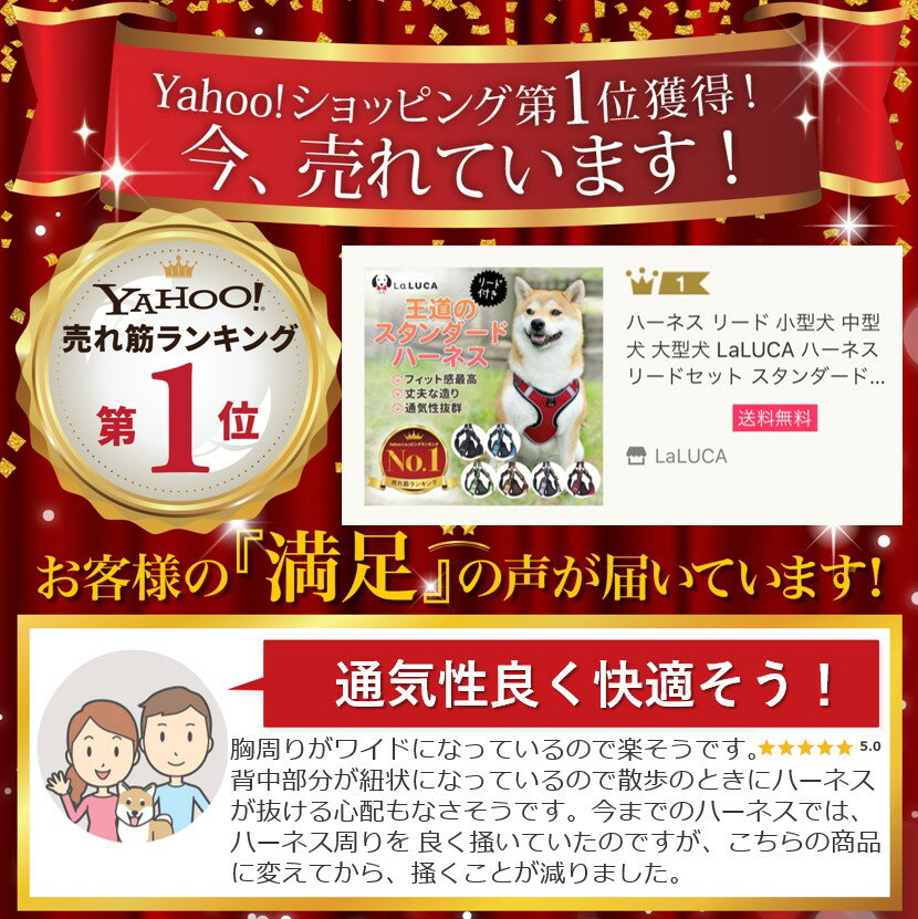 ハーネス リード 抜けにくい 小型犬 中型犬 大型犬 LaLUCA ハーネスリードセット スタンダード 抜けない 犬用 首輪 胴輪 散歩