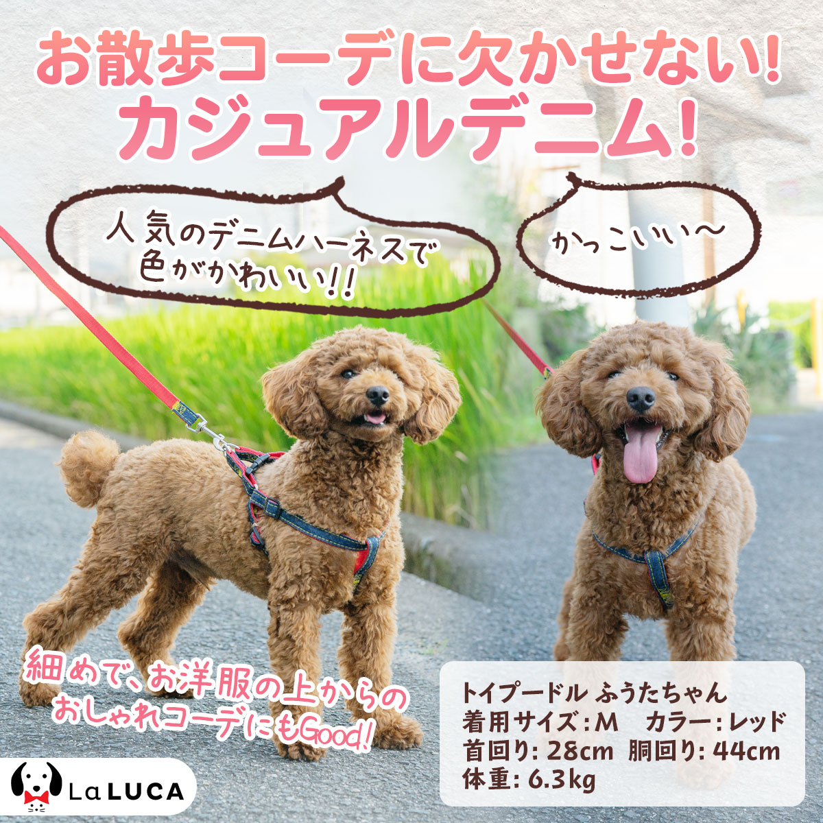 犬ハーネス定番スタンダード犬用ハーネスリード付デニムジーンズLaLUCAおしゃれ小型犬中型犬ドッグ散歩かわいい