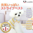 【楽天2冠】 犬 服 綿 オールシーズン コットン タンクトップ タンク ドッグウェア 犬服 犬の服 Tシャツ パステル カラフル かわいい LaLUCA 送料...