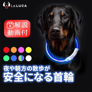 【送料無料】 首輪 犬 おしゃれ 光る首輪 LED ライト USB充電式 小型犬 中型犬 大型犬 夜 散歩 安全 サイズ調整 LaLUCA