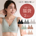 ベテラン助産師推薦【福袋2025】授乳ブラ 2枚 マタニティ コットン ナイトブラ 前開き ノンワイヤー ブラジャー 授乳 ブラ 産前 rische. 送料無料 フロントボタン ベージュ ピンク 妊婦 産後 美胸 育乳 ナイト 綿