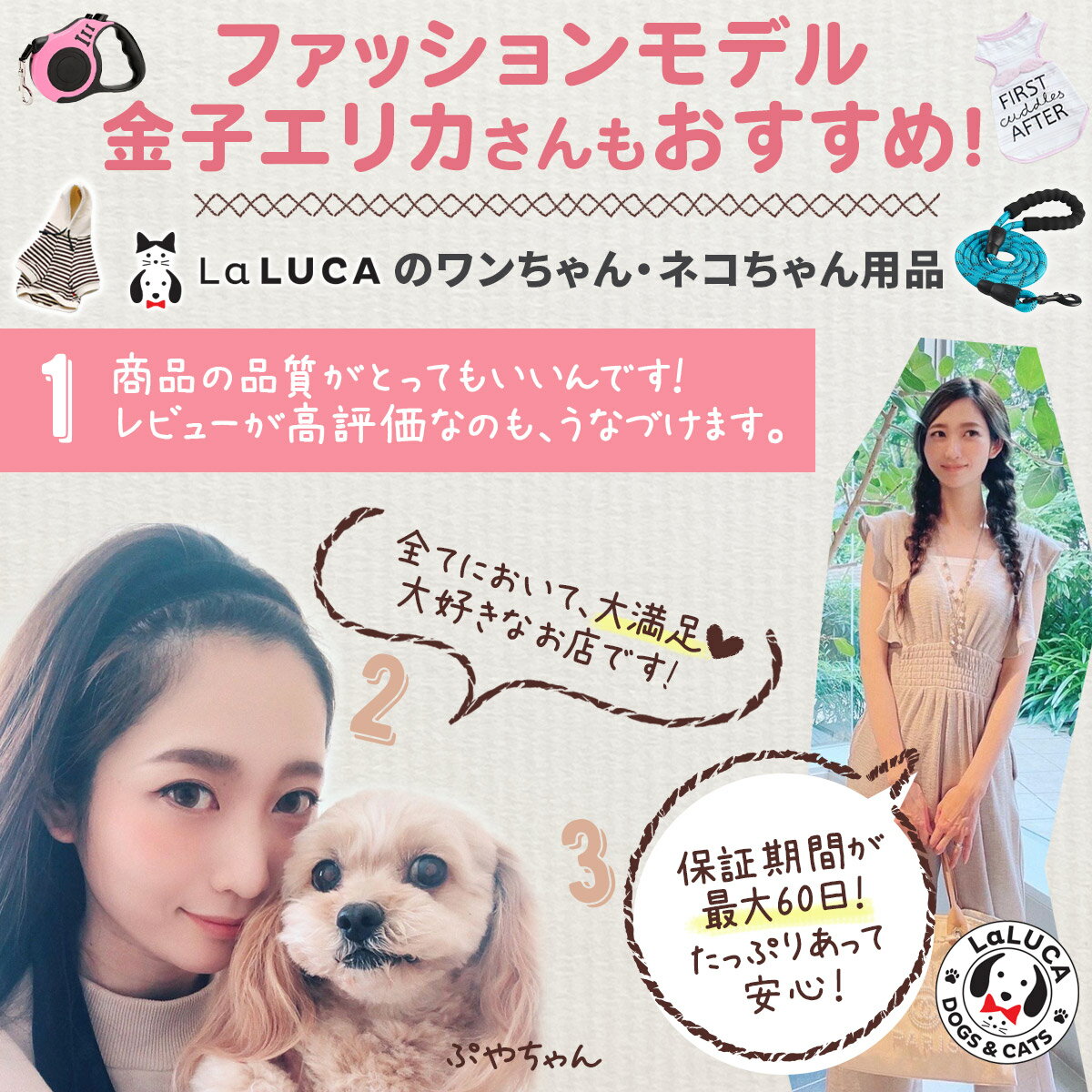 ハーネスリードセット小型犬犬猫兼用ウェアハーネス胴輪イヌネコマジックテープペットリード付きキャットおしゃれ