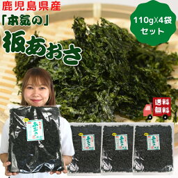 【 本気の 】 板 あおさ 440g 【 お得 な 110g × 4袋 セット 】 2023年 産 1等 九州 鹿児島産 国産 ( あおさ海苔 ) 青さ ヒトエグサ 大容量 業務用 手土産