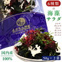 6種類 の 国内産 海藻 サラダ 100g 乾燥 ミックス 国産 わかめ 茎わかめ めかぶ 赤とさか 青とさか 白とさか
