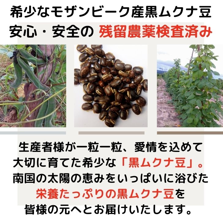 モザンビーク産 黒ムクナ豆 500g 【 送料無料 】残留農薬検査済 乾燥 L-ドーパ ドーパミン Mucuna ムクナ 八升豆 チャック付 スーパーフード 生ムクナ豆