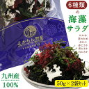 【 お買い物マラソンSALE 10％OFF 】 6種類 の 九州 産 海藻 サラダ 【 お得 な 50g × 2袋 セット 】 乾燥 ミックス 国産 原料100％ 【 送料無料 】 わかめ 茎わかめ めかぶ 赤とさか 青とさか 白とさか 非常食 スープ 常温保存 無添加 低カロリー 自然食品