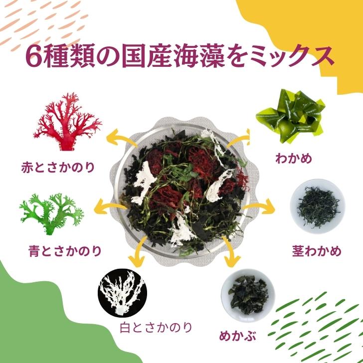 本物保証 九州の海で採れた海藻だけで作った6種の海藻サラダ こだわりのシャキシャキ コリコリ食感をお楽しみください 6種類 の 九州 産 海藻 サラダ 乾燥 ミックス 国産 原料100 わかめ 茎わかめ めかぶ 赤とさか 青とさか 白とさか 非常食 スープ 常温保存 無添加