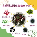 6種類 の 九州 産 海藻 サラダ 50g 乾燥 ミックス 【 送料無料 】 国産 原料100％ わかめ 茎わかめ めかぶ 赤とさか 青とさか 白とさか 非常食 スープ 常温保存 無添加 低カロリー 自然食品 2