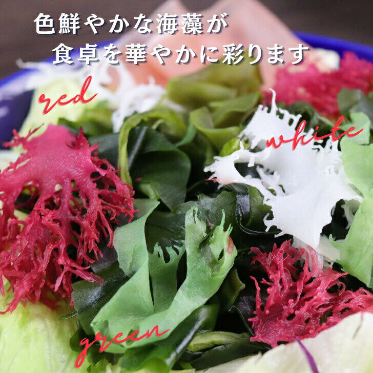 本物保証 九州の海で採れた海藻だけで作った6種の海藻サラダ こだわりのシャキシャキ コリコリ食感をお楽しみください 6種類 の 九州 産 海藻 サラダ 乾燥 ミックス 国産 原料100 わかめ 茎わかめ めかぶ 赤とさか 青とさか 白とさか 非常食 スープ 常温保存 無添加