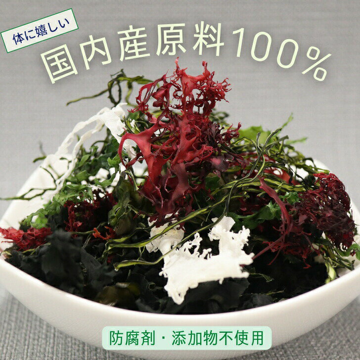 本物保証 九州の海で採れた海藻だけで作った6種の海藻サラダ こだわりのシャキシャキ コリコリ食感をお楽しみください 6種類 の 九州 産 海藻 サラダ 乾燥 ミックス 国産 原料100 わかめ 茎わかめ めかぶ 赤とさか 青とさか 白とさか 非常食 スープ 常温保存 無添加