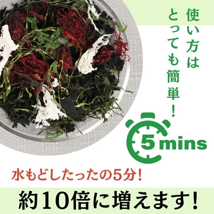 本物保証 九州の海で採れた海藻だけで作った6種の海藻サラダ こだわりのシャキシャキ コリコリ食感をお楽しみください 6種類 の 九州 産 海藻 サラダ 乾燥 ミックス 国産 原料100 わかめ 茎わかめ めかぶ 赤とさか 青とさか 白とさか 非常食 スープ 常温保存 無添加