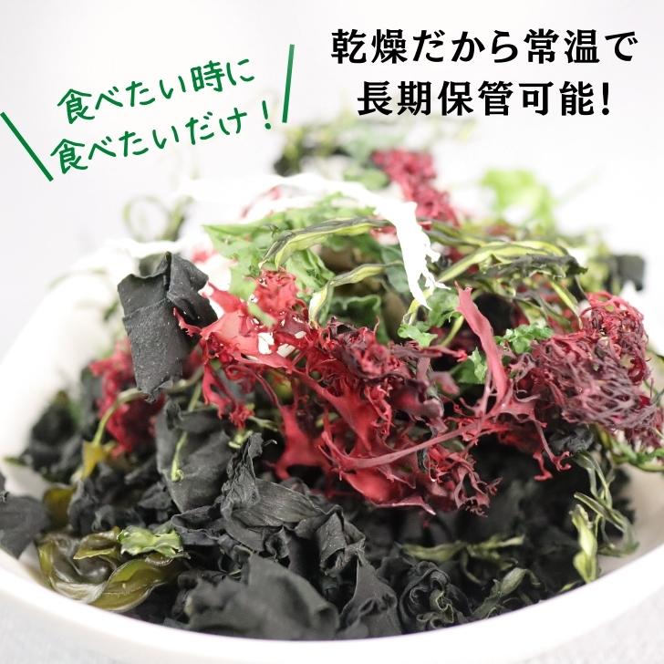 本物保証 九州の海で採れた海藻だけで作った6種の海藻サラダ こだわりのシャキシャキ コリコリ食感をお楽しみください 6種類 の 九州 産 海藻 サラダ 乾燥 ミックス 国産 原料100 わかめ 茎わかめ めかぶ 赤とさか 青とさか 白とさか 非常食 スープ 常温保存 無添加